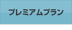 プレミアムプラン